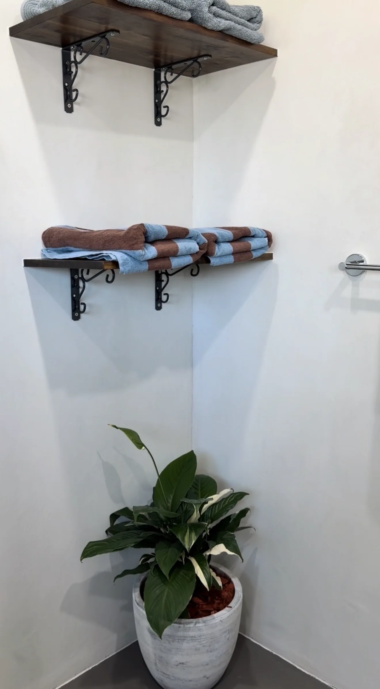 Micro cement corner with a timber shelf, folded towels and a plant